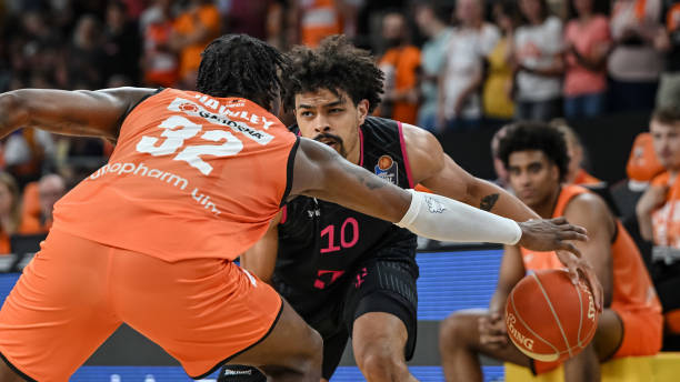 喜鹊在比赛 喜鹊在比赛